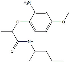 2-(2-amino-4-methoxyphenoxy)-N-(pentan-2-yl)propanamide Struktur