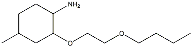 2-(2-butoxyethoxy)-4-methylcyclohexan-1-amine Struktur