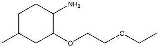 2-(2-ethoxyethoxy)-4-methylcyclohexan-1-amine Struktur