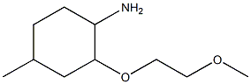 2-(2-methoxyethoxy)-4-methylcyclohexan-1-amine Struktur