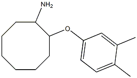 2-(3,4-dimethylphenoxy)cyclooctan-1-amine Struktur