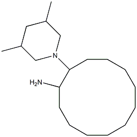 2-(3,5-dimethylpiperidin-1-yl)cyclododecan-1-amine Struktur