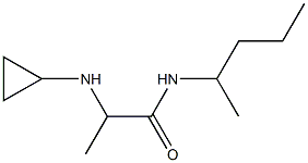 2-(cyclopropylamino)-N-(pentan-2-yl)propanamide Struktur