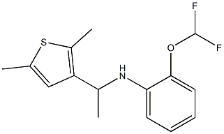 2-(difluoromethoxy)-N-[1-(2,5-dimethylthiophen-3-yl)ethyl]aniline Struktur