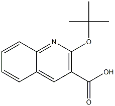 2-(tert-butoxy)quinoline-3-carboxylic acid Struktur