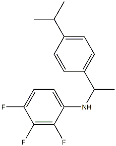 2,3,4-trifluoro-N-{1-[4-(propan-2-yl)phenyl]ethyl}aniline Struktur