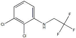 2,3-dichloro-N-(2,2,2-trifluoroethyl)aniline Struktur