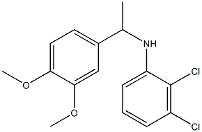 2,3-dichloro-N-[1-(3,4-dimethoxyphenyl)ethyl]aniline Struktur