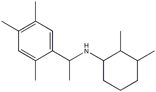 2,3-dimethyl-N-[1-(2,4,5-trimethylphenyl)ethyl]cyclohexan-1-amine Struktur