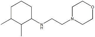 2,3-dimethyl-N-[2-(morpholin-4-yl)ethyl]cyclohexan-1-amine Struktur