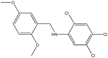 2,4,5-trichloro-N-[(2,5-dimethoxyphenyl)methyl]aniline Struktur