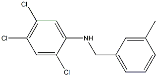 2,4,5-trichloro-N-[(3-methylphenyl)methyl]aniline Struktur