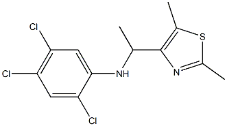 2,4,5-trichloro-N-[1-(2,5-dimethyl-1,3-thiazol-4-yl)ethyl]aniline Struktur