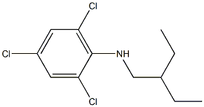 2,4,6-trichloro-N-(2-ethylbutyl)aniline Struktur