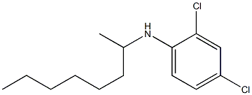 2,4-dichloro-N-(octan-2-yl)aniline Struktur