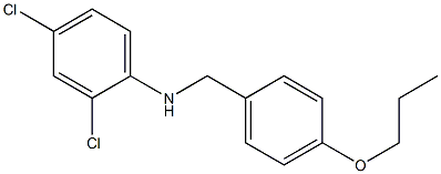 2,4-dichloro-N-[(4-propoxyphenyl)methyl]aniline Struktur