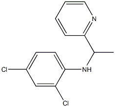 2,4-dichloro-N-[1-(pyridin-2-yl)ethyl]aniline Struktur