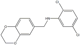 2,5-dichloro-N-(2,3-dihydro-1,4-benzodioxin-6-ylmethyl)aniline Struktur