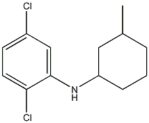 2,5-dichloro-N-(3-methylcyclohexyl)aniline Struktur