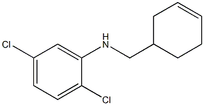 2,5-dichloro-N-(cyclohex-3-en-1-ylmethyl)aniline Struktur