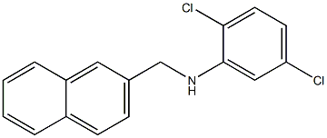 2,5-dichloro-N-(naphthalen-2-ylmethyl)aniline Struktur