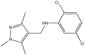 2,5-dichloro-N-[(1,3,5-trimethyl-1H-pyrazol-4-yl)methyl]aniline Struktur