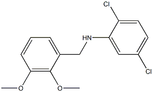 2,5-dichloro-N-[(2,3-dimethoxyphenyl)methyl]aniline Struktur