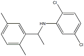 2,5-dichloro-N-[1-(2,5-dimethylphenyl)ethyl]aniline Struktur