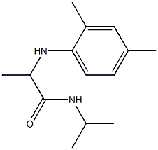 2-[(2,4-dimethylphenyl)amino]-N-(propan-2-yl)propanamide Struktur