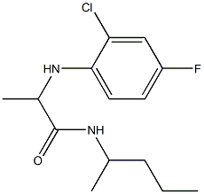 2-[(2-chloro-4-fluorophenyl)amino]-N-(pentan-2-yl)propanamide Struktur