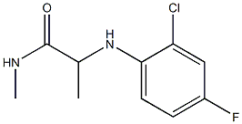 2-[(2-chloro-4-fluorophenyl)amino]-N-methylpropanamide Struktur