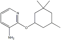 2-[(3,3,5-trimethylcyclohexyl)oxy]pyridin-3-amine Struktur