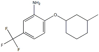 2-[(3-methylcyclohexyl)oxy]-5-(trifluoromethyl)aniline Struktur