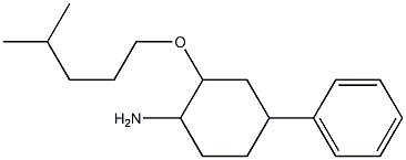 2-[(4-methylpentyl)oxy]-4-phenylcyclohexan-1-amine Struktur