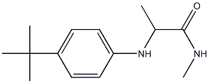 2-[(4-tert-butylphenyl)amino]-N-methylpropanamide Struktur