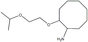 2-[2-(propan-2-yloxy)ethoxy]cyclooctan-1-amine Struktur