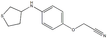 2-[4-(thiolan-3-ylamino)phenoxy]acetonitrile Struktur