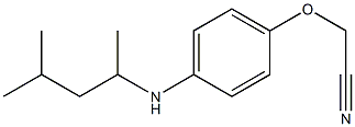 2-{4-[(4-methylpentan-2-yl)amino]phenoxy}acetonitrile Struktur