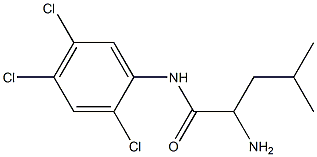 2-amino-4-methyl-N-(2,4,5-trichlorophenyl)pentanamide Struktur