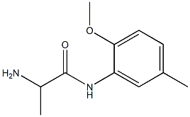 2-amino-N-(2-methoxy-5-methylphenyl)propanamide Struktur