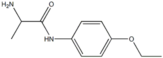 2-amino-N-(4-ethoxyphenyl)propanamide Struktur