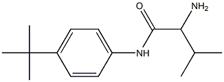 2-amino-N-(4-tert-butylphenyl)-3-methylbutanamide Struktur