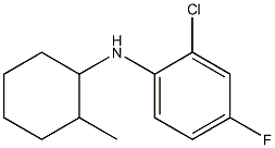 2-chloro-4-fluoro-N-(2-methylcyclohexyl)aniline Struktur