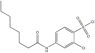 2-chloro-4-octanamidobenzene-1-sulfonyl chloride Struktur