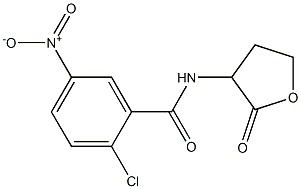 2-chloro-5-nitro-N-(2-oxooxolan-3-yl)benzamide Struktur