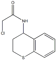 2-chloro-N-3,4-dihydro-2H-thiochromen-4-ylacetamide Struktur