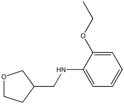 2-ethoxy-N-(oxolan-3-ylmethyl)aniline Struktur