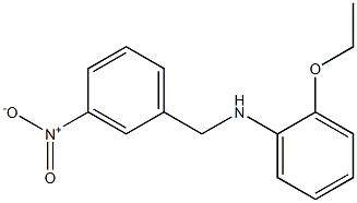 2-ethoxy-N-[(3-nitrophenyl)methyl]aniline Struktur