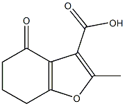 2-methyl-4-oxo-4,5,6,7-tetrahydro-1-benzofuran-3-carboxylic acid Struktur