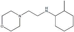 2-methyl-N-[2-(morpholin-4-yl)ethyl]cyclohexan-1-amine Struktur